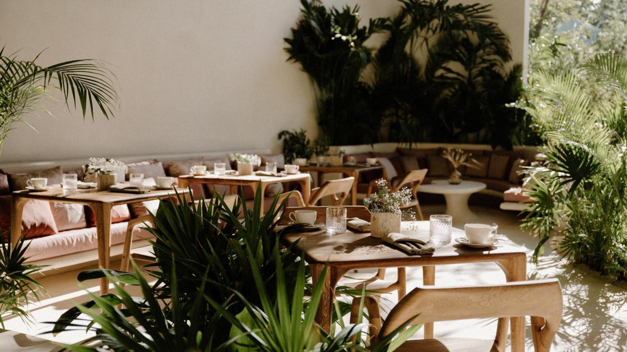 Hotel Milam 图卢姆 外观 照片